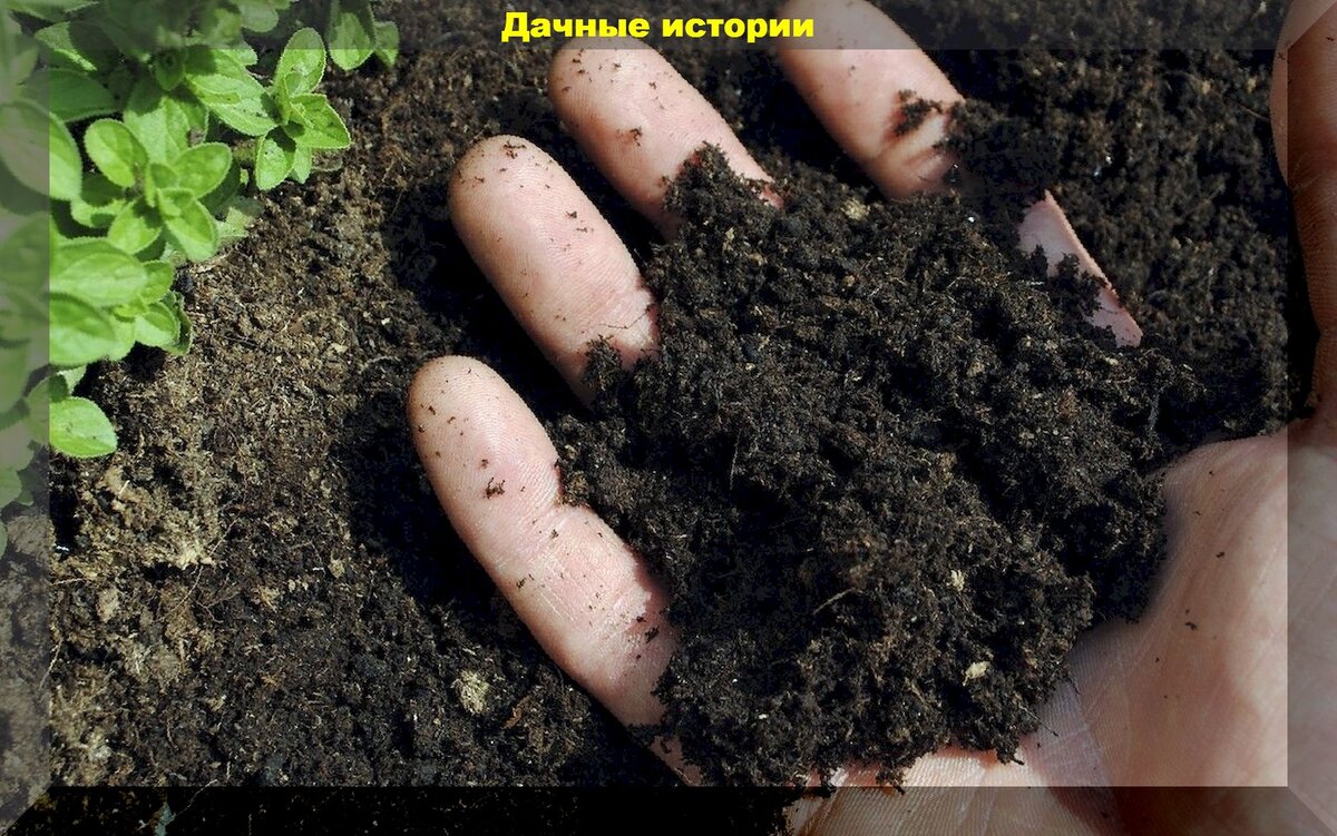 https://vk.com/photo-159774511_457249726