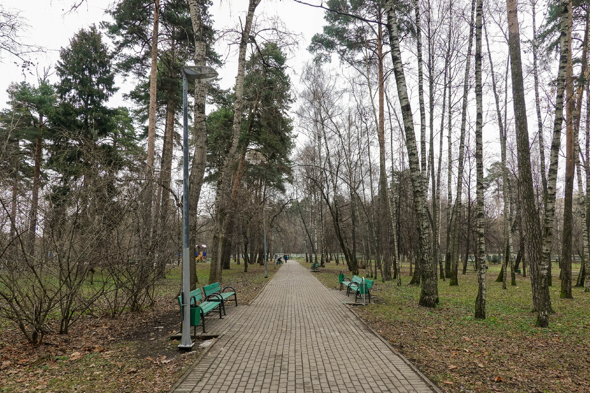 Про маленький неизвестный парк на северо-востоке Москвы, где иногда  кажется, что ты в сельской местности | Самый главный путешественник | Дзен