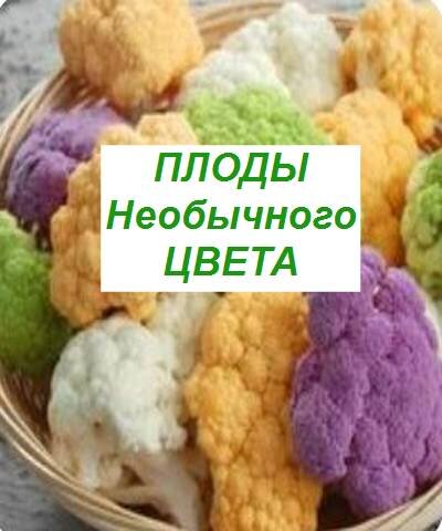 плоды необычного цвета 