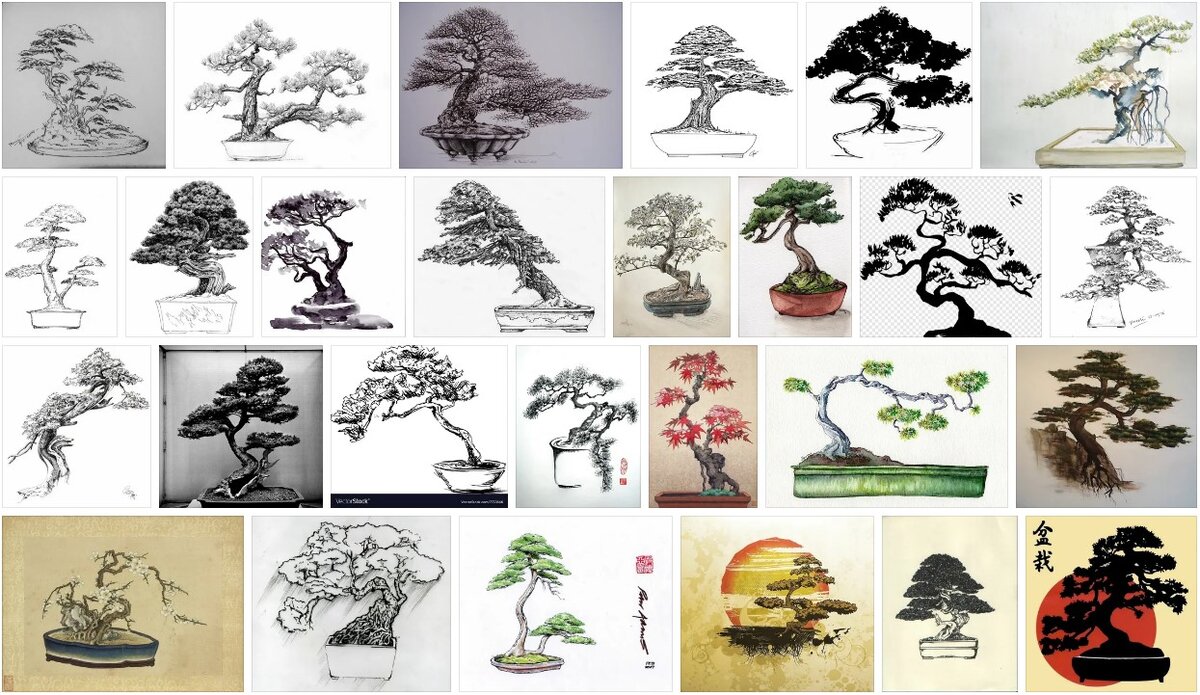 Стили применяемые в бонсай. - Форум Бонсай и фигурки