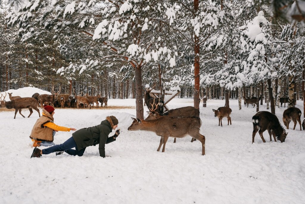 Тверская область в ТОП-10 привлекательности для туристов