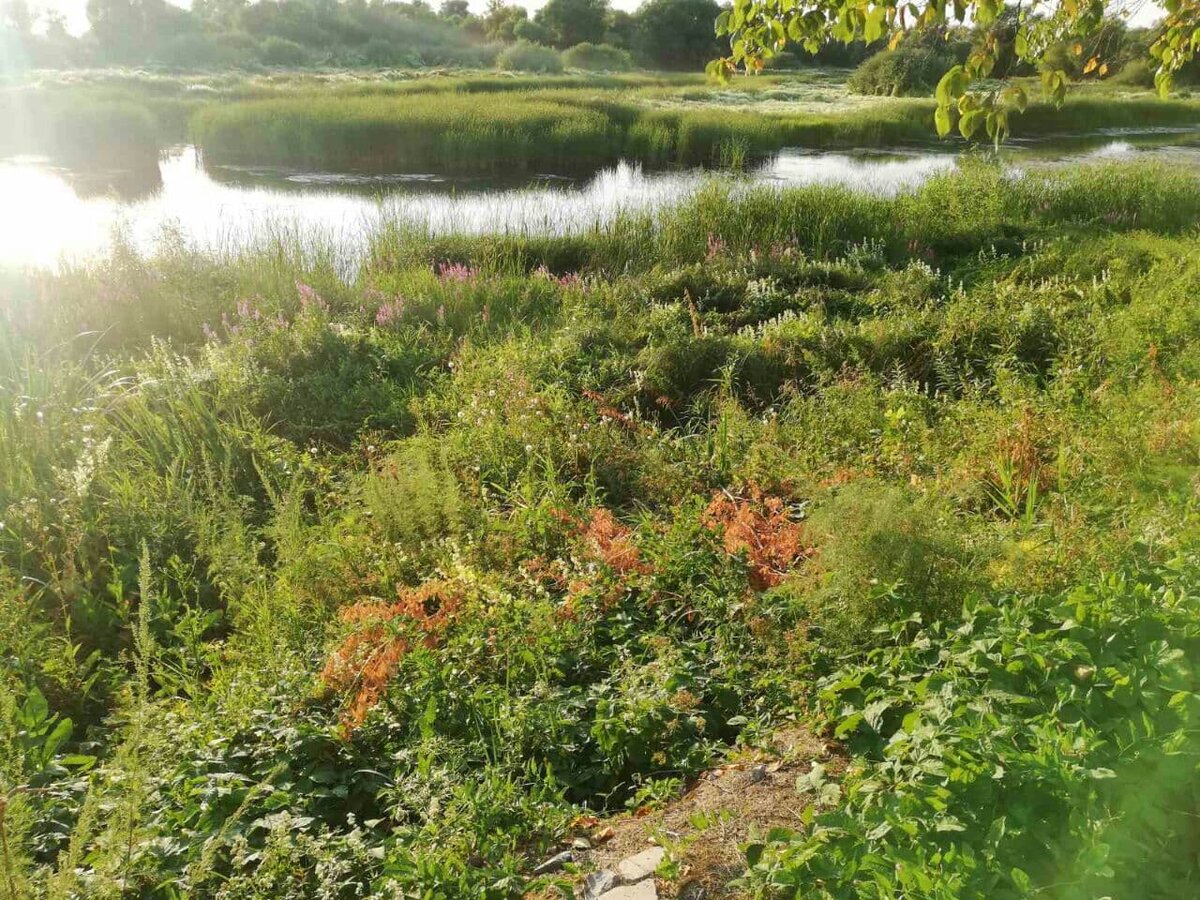 Фото автора.