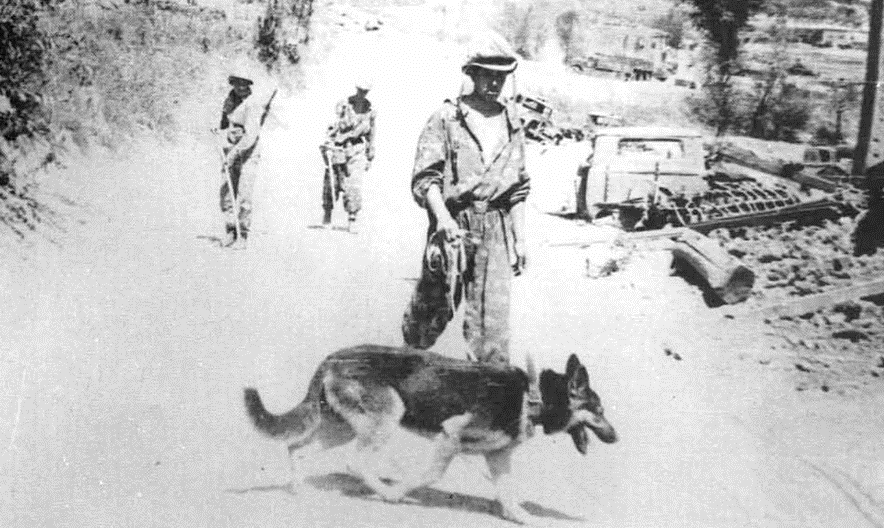 Сапер – профессия героическая