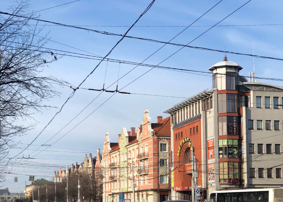 Калининград 💙 Мне далеко не во все наши города хочется возвращаться, но в Калининград я с удовольствием бы приезжала снова и снова!