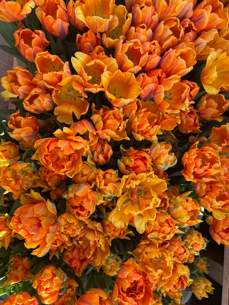 Фото из личного архива. 14 марта 2022