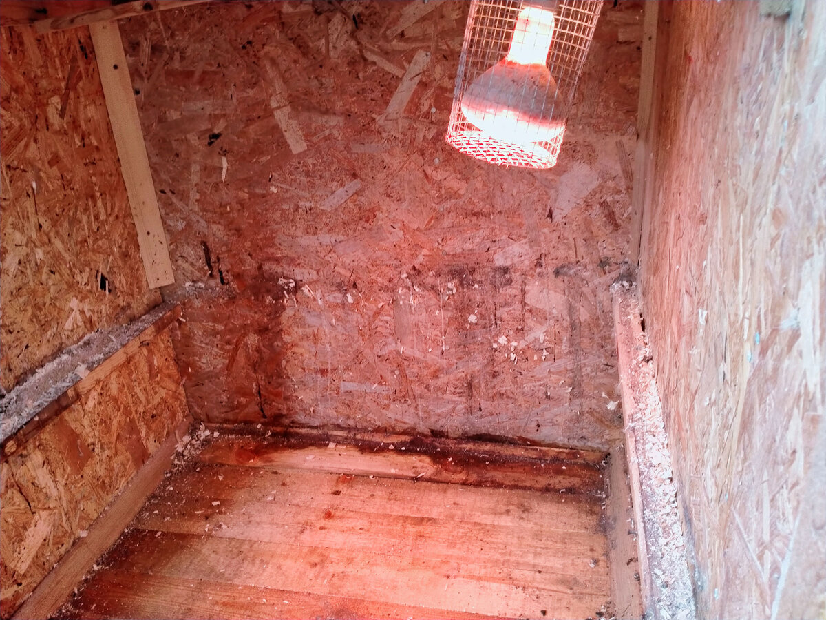 ИК лампа нагревает поверхности, на которые направлена