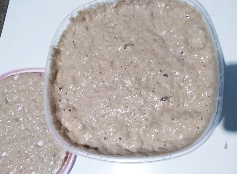 Забродившая опара
