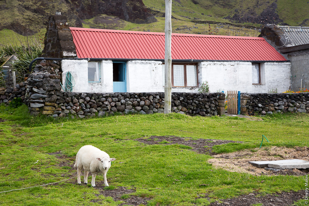 Tristan da cunha. Остров Тристан-да-Кунья. Эдинбург семи морей. Эдинбург (Тристан-да-Кунья). Жители острова Тристан-да-Кунья