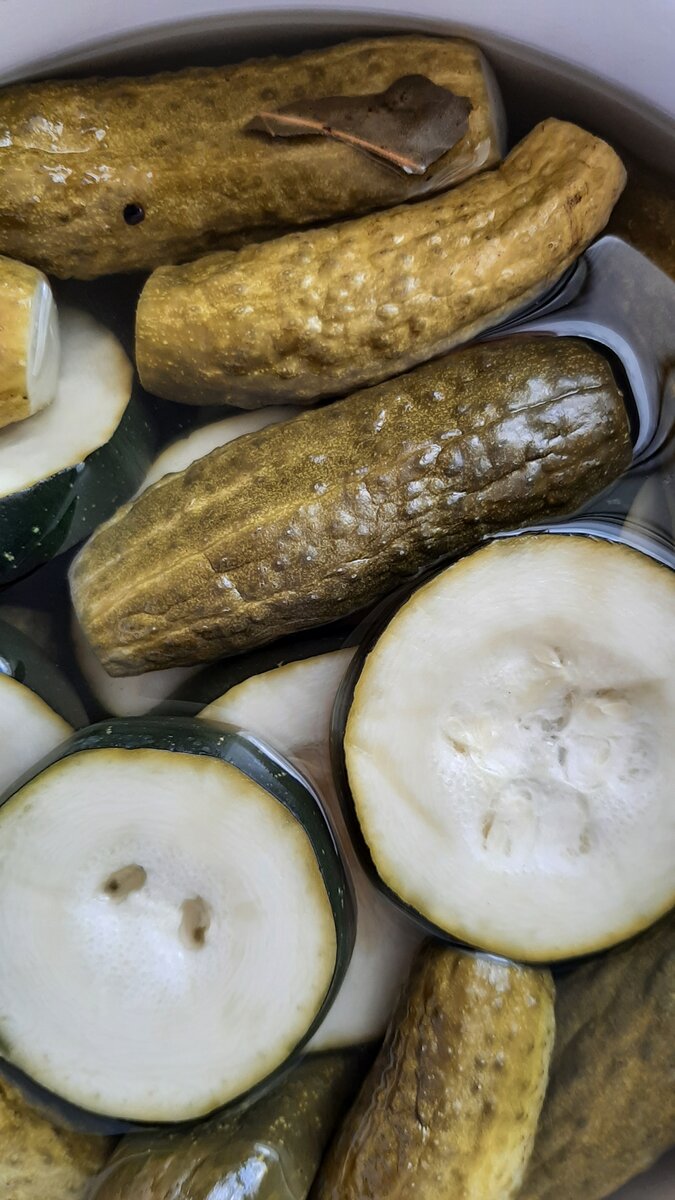 Фото автора канала "Моя жизнь" 