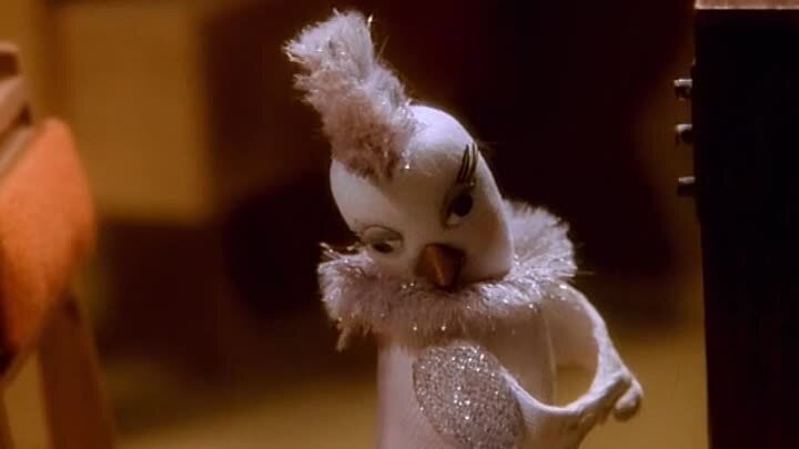 Боцман и попугай мультфильм. Боцман при попугае 4. Боцман и попугай рома. Боцман при попугае 4. Мультик боцман и попугай.