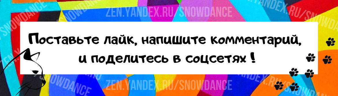 Почему кошки не толстеют, кот толстеет после кастрации | Кошки - кто они?