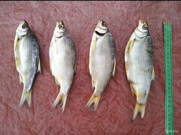 Азовская тарань 