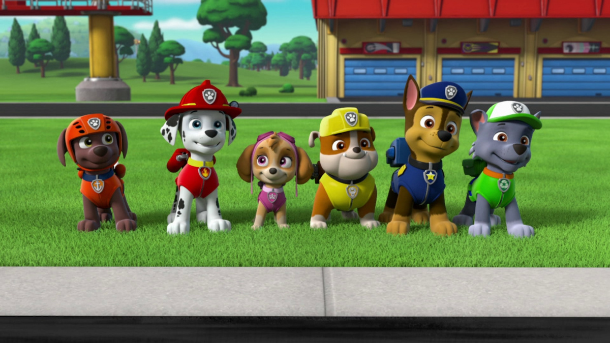 Персонажи мультфильма щенячий патруль. Либерти щенячий патруль. Команда щенячьего патруля. Команда щенячьего патруля. Щенячий патруль патрол.