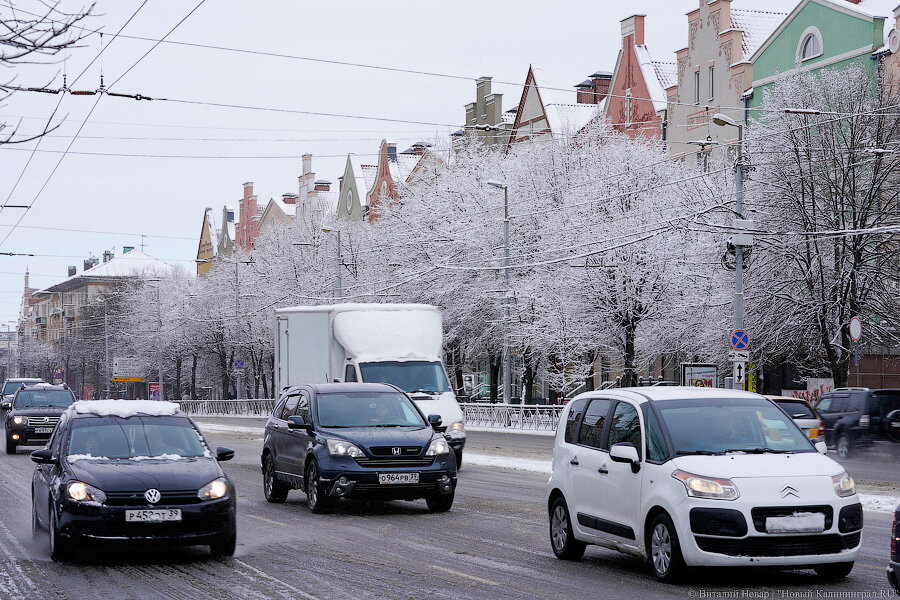 Фото: Виталий Невар / Новый Калининград