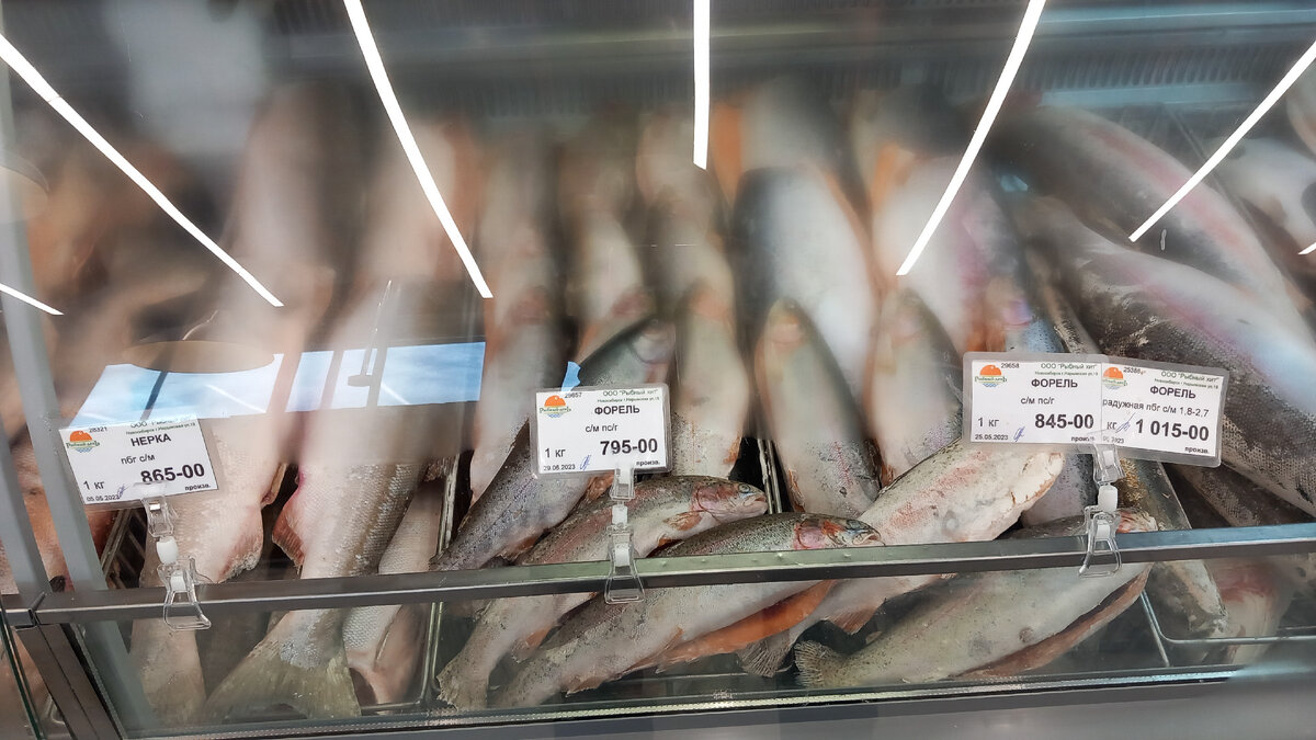 Форель, Рыбный день