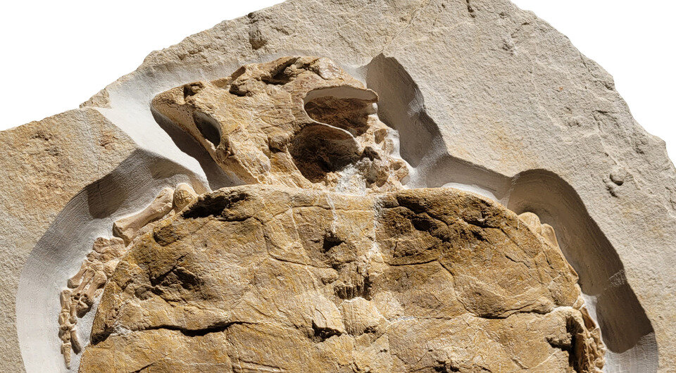   Felix J. Augustin et al. / PLoS ONE, 2023
