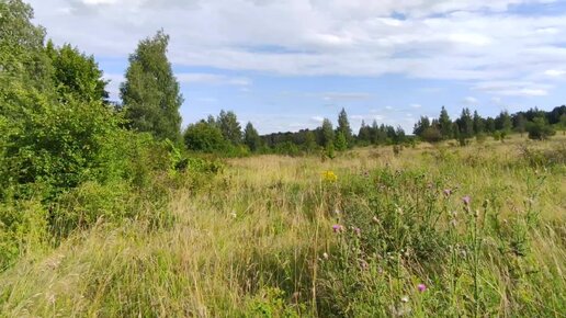 Заброшенная деревня Городок. Еле отыскали последний заброшенный дом