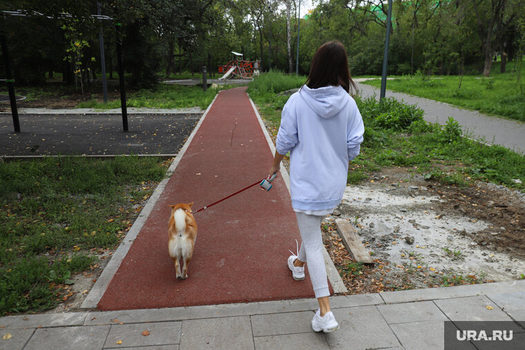    Девушка сообщила, что на нее набросились из-за выгула собаки (архивное фото)