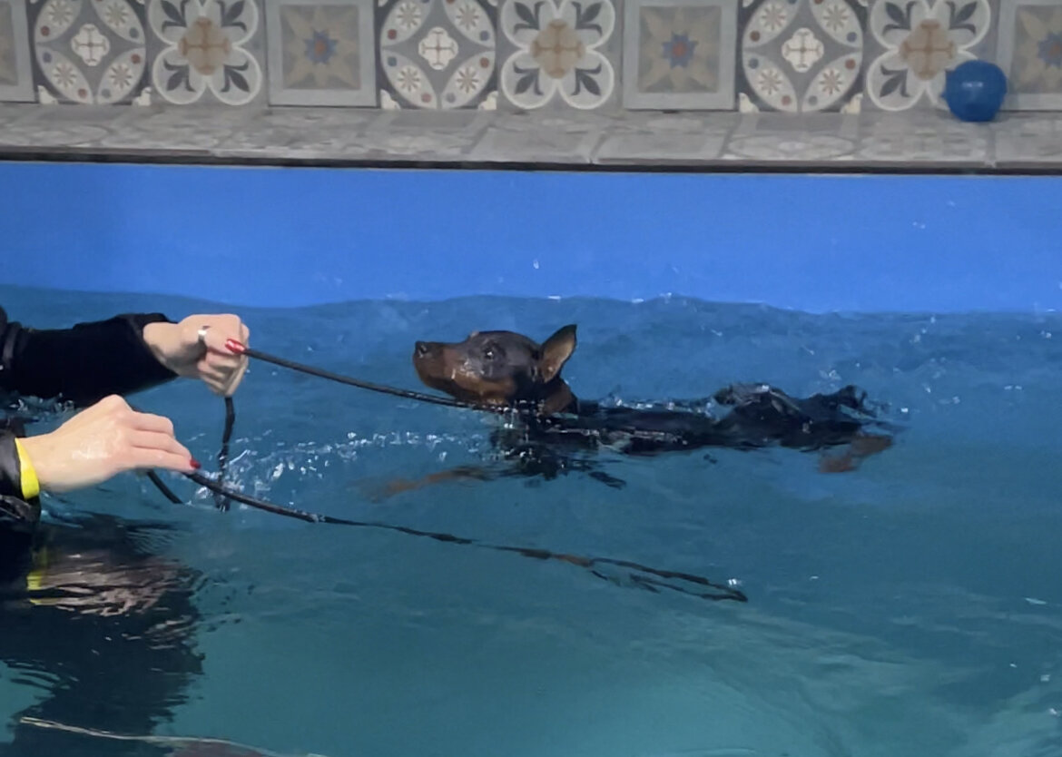 Битси плывёт за инструктором