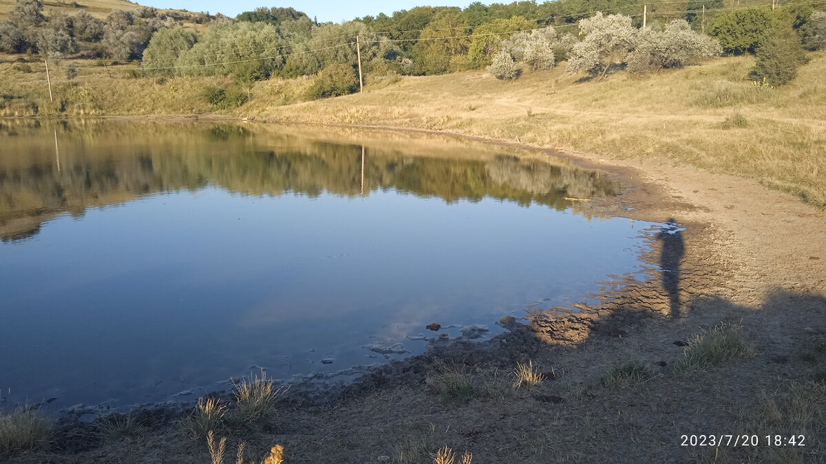 В наиболее широкой части берега земля истоптана сильнее, где животные обычно подходят к водоему
