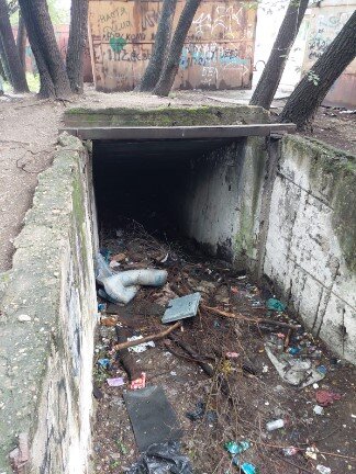    Фото: Амур.инфо