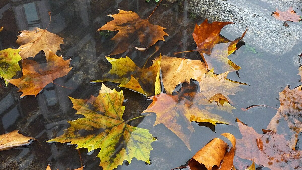     В Ростовской области в начале сентября температура воздуха в ночное время будет опускаться до семи градусов, сообщили синоптики.