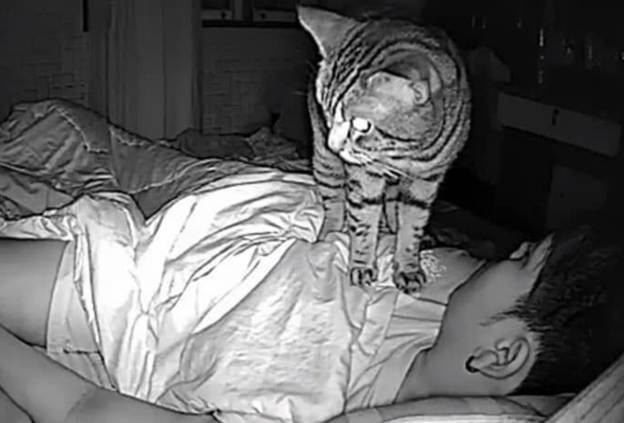 Опять ты всю комнату выстудил, Саша! Ну холодно же, вот тебе только простыть ещё осталось, — ворчала жена, закрывая настежь распахнутое окно. — Да не ворчи, милая, — отозвался мужчина на кровати.-4