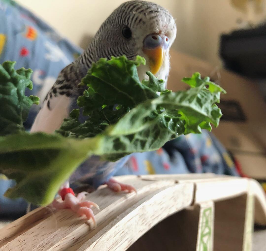 Источник фото: insta-stalker.com