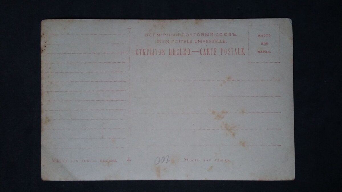 фото из интернета 