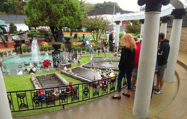 Источник Яндекс фото.