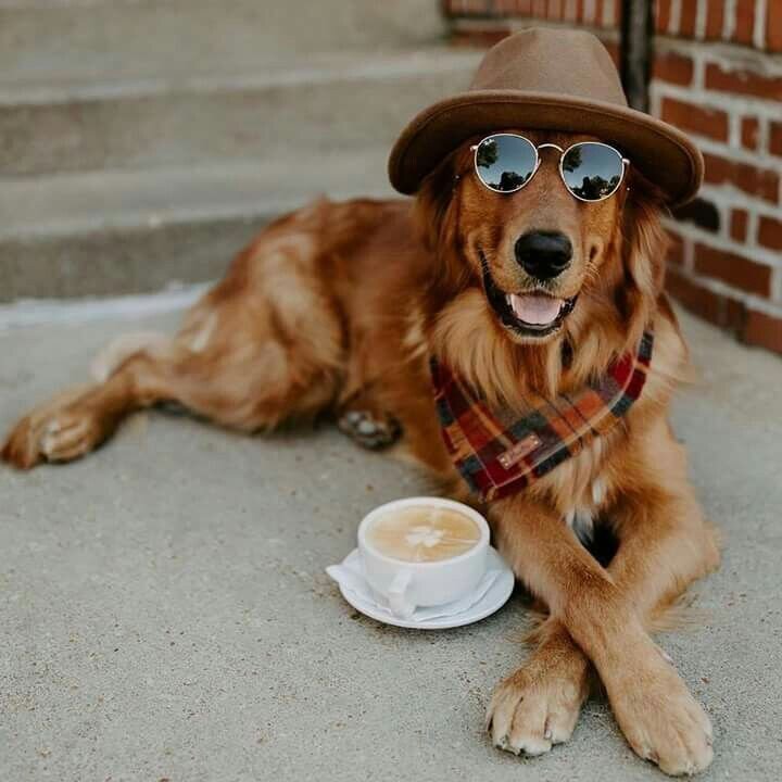 Источник https://www.pinterest.ru/pin/223491200241963212/?lp=true