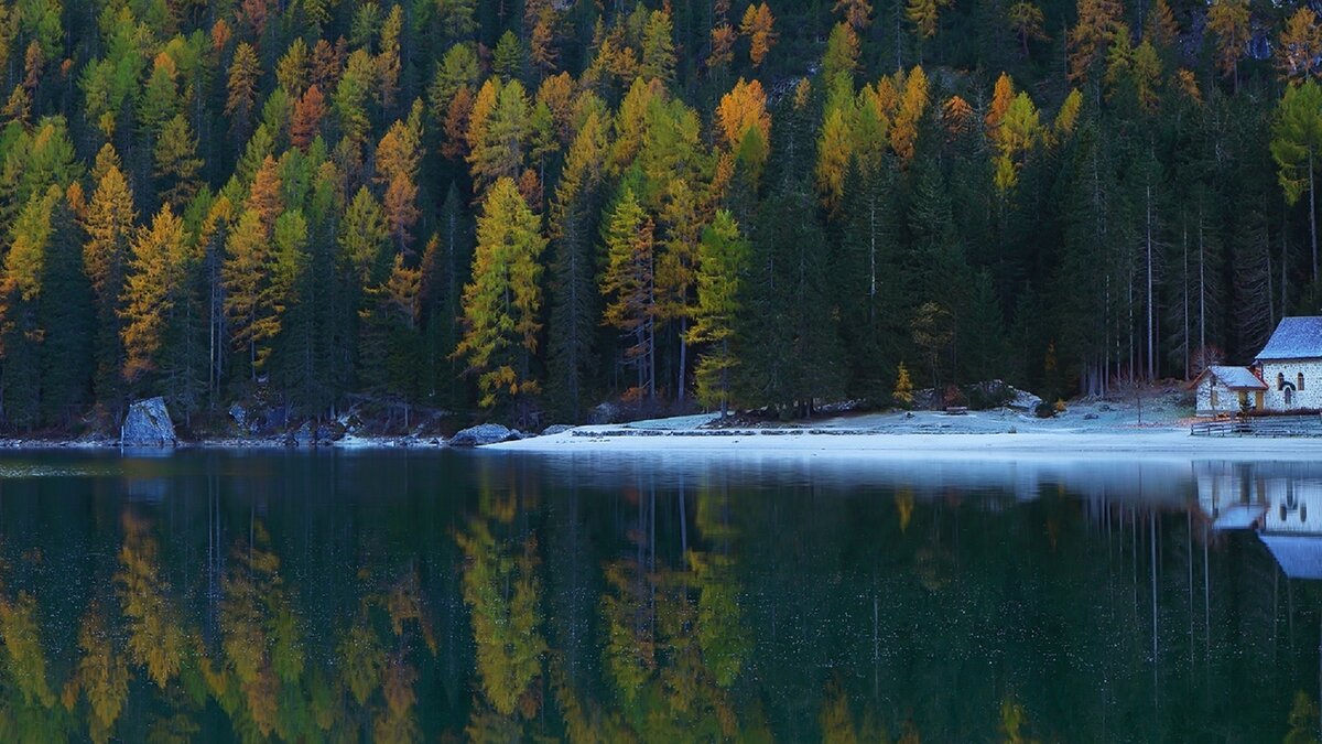 Фото из интернета