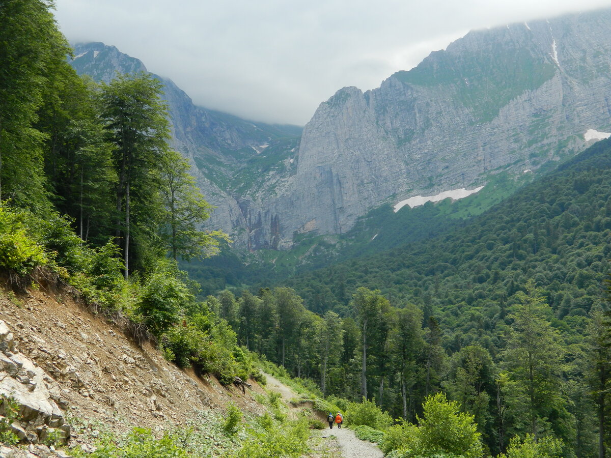 Хребет Фишта кавказский