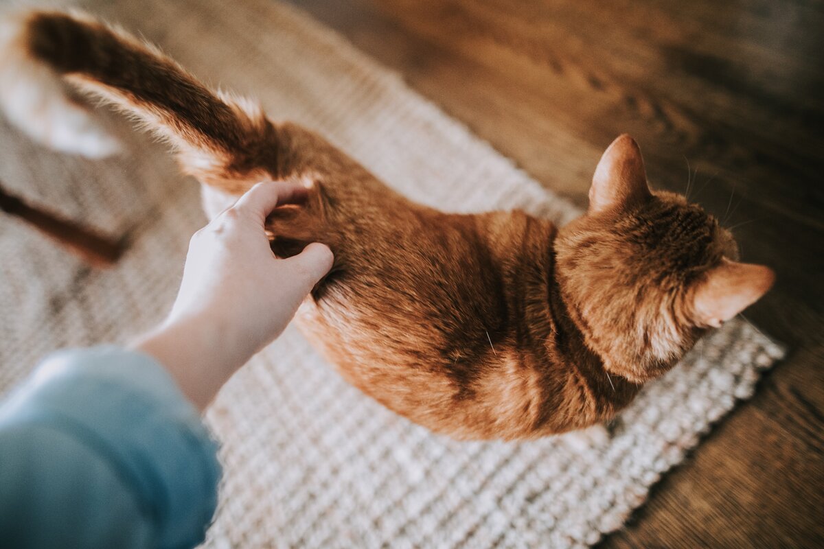 Photo by Christin Hume on Unsplash