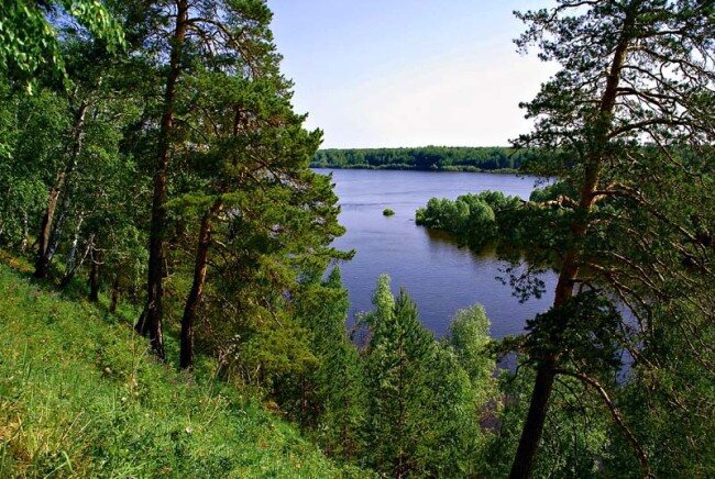 изображение взято с https://t-l.ru/