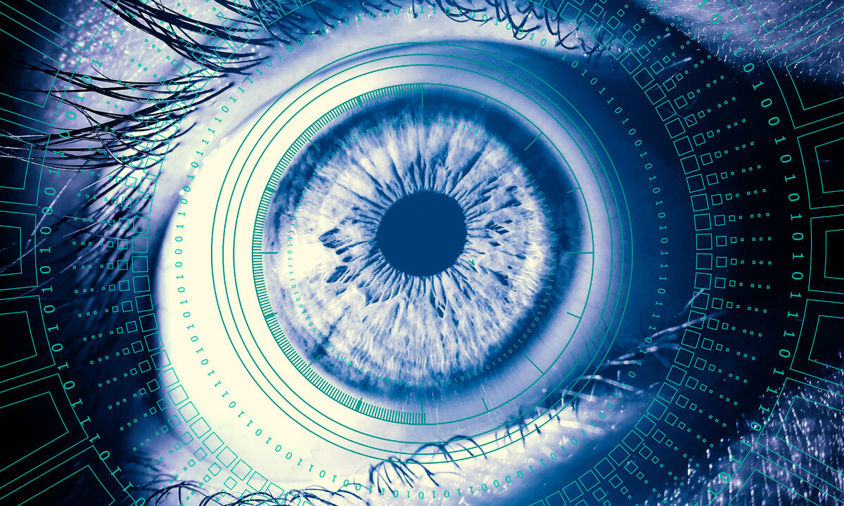 Фото: Pete Linforth с сайта Pixabay