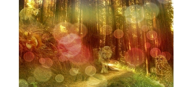 Какое животное увидели на картинке первым ?       Мы все меняемся , мы  живем в ритме времени . Меняется время , меняемся  мы !      Очень часто мы не осознаем  насколько мы     изменились  и продолжаем следовать старым принципам   прошлого . Попробуем понять свои перемены .   Выберите  животное , которое вы сможете разглядеть на  этой картинке  и прочитайте ,что означает  ваш выбор .                                                                               СОВА-    Вы стали мудрее, осторожнее. Вы не столь категоричны, как были прежде. Вы понимаете, что не всё зависит от человека.
Вы научились принимать в расчет обстоятельства и свои возможности.                             МЕДВЕДЬ          - Вы чувствуете себя уверенней Вы стали практичней. Вы научились делать запасы не только на «черный день». Вы научились управлять своим обаянием, вы стали коммуникабельней.
Вы меньше зависите от мнения общества, вы больше ориентированы на  себе, чем прежде, вы стали сильнее. Вы научились доводить нужное вам дело до успешного финала.
Вы понимаете, что знаете и умеете больше, чем раньше ,у вас появился опыт  во многих  сферах деятельности .                                                                                                                                                 БЕЛКА  -    Вы стали практичней. Вы научились делать запасы не только на «черный день». Вы научились управлять своим обаянием, вы стали коммуникабельней.
Вы меньше зависите от мнения общества, вы больше ориентированы на  собственную жизнь                                                                                                                                                   ВОЛК      -Вы стали больше заботиться о себе, о собственной безопасности и комфорте. Вы меньше доверяете людям вообще.       У вас появились более жесткие методы решения проблем. Одиночество больше не пугает вас.
ЛИСА                -Вы научились принимать себя со всеми плюсами и минусами. Вы лучше думаете и анализируете.
Вы стали осторожней и осмотрительней - У вас собственная мораль и свои правила жизни. Алексей   Маматов  ( клуб активного долголетия )