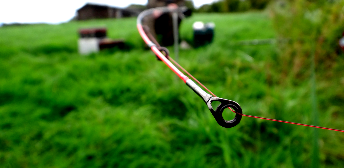 Иллюстрация из открытого источника