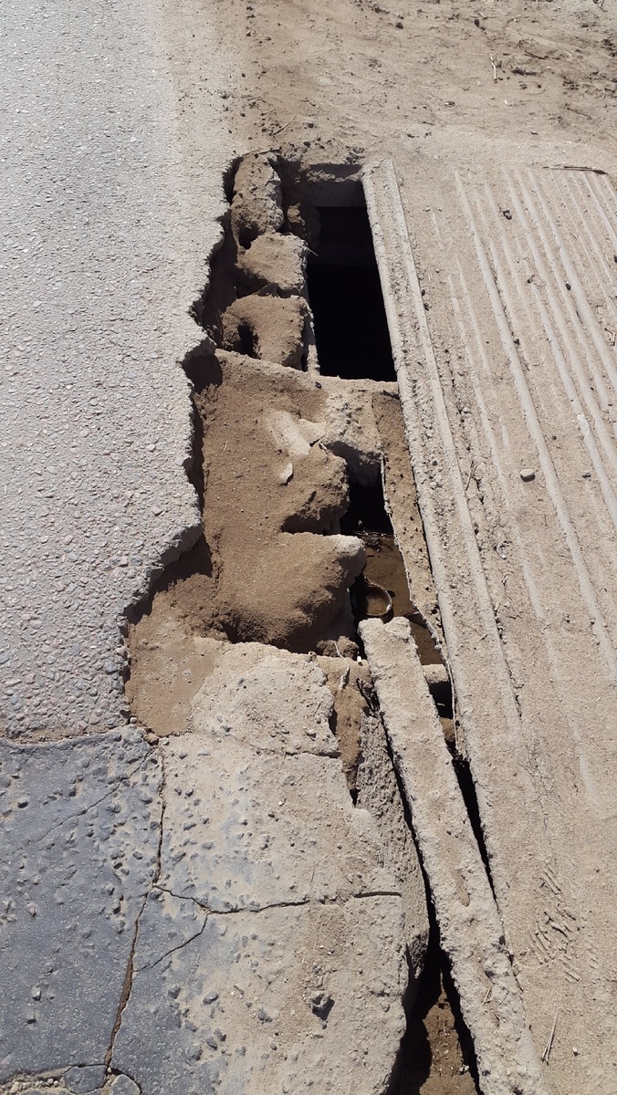 Фото из домашнего архива.