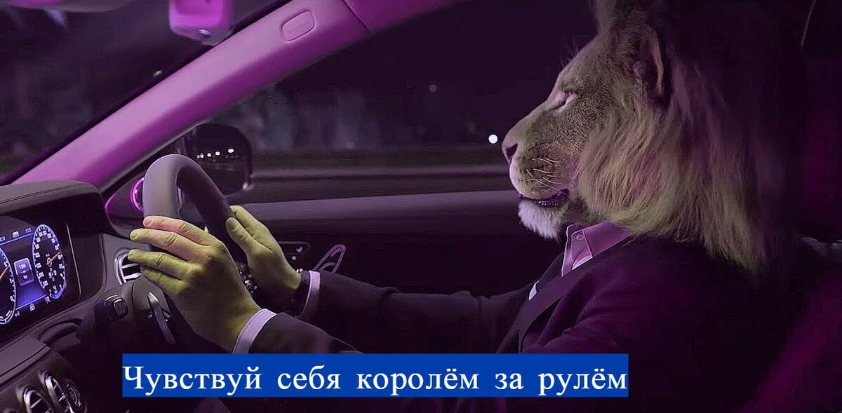 Фото с портала: https://i.ytimg.com