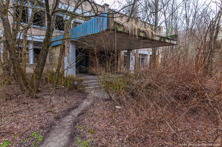 Вид перед школой