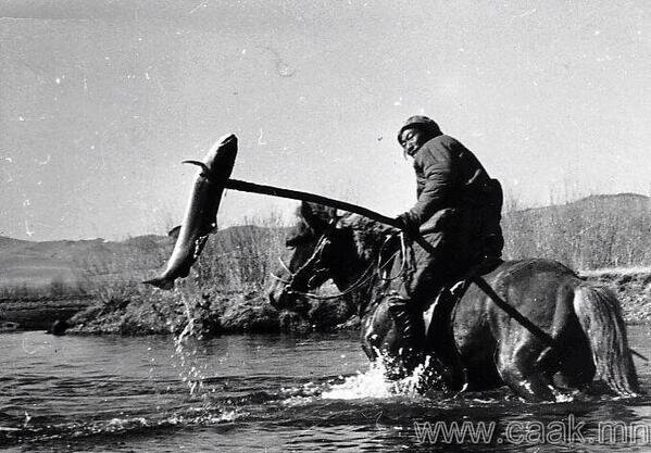 Источник фото - https://vk.com/mongolia_mgl?w=wall-7206469_75265