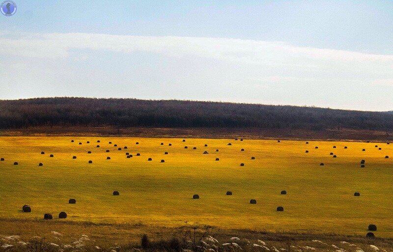 Законсервированный запасной аэродром 