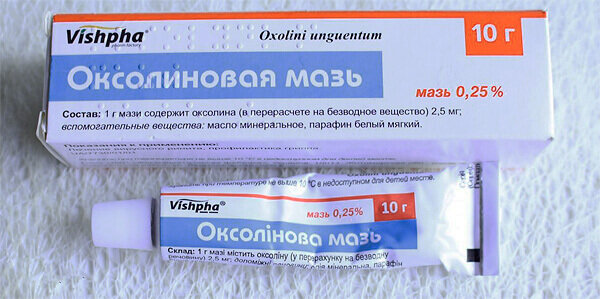 Фото взято из открытого источника