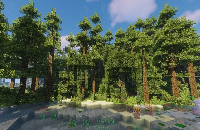 Dynamic Trees - Biomes O