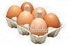 Яйца куриные(6 штук) 