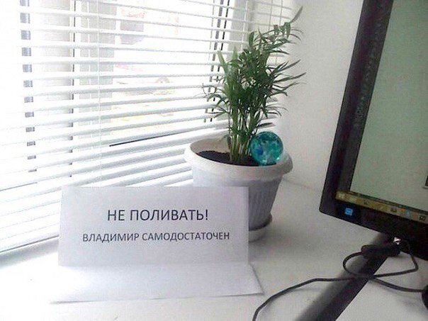 Источник Яндекс Картинки