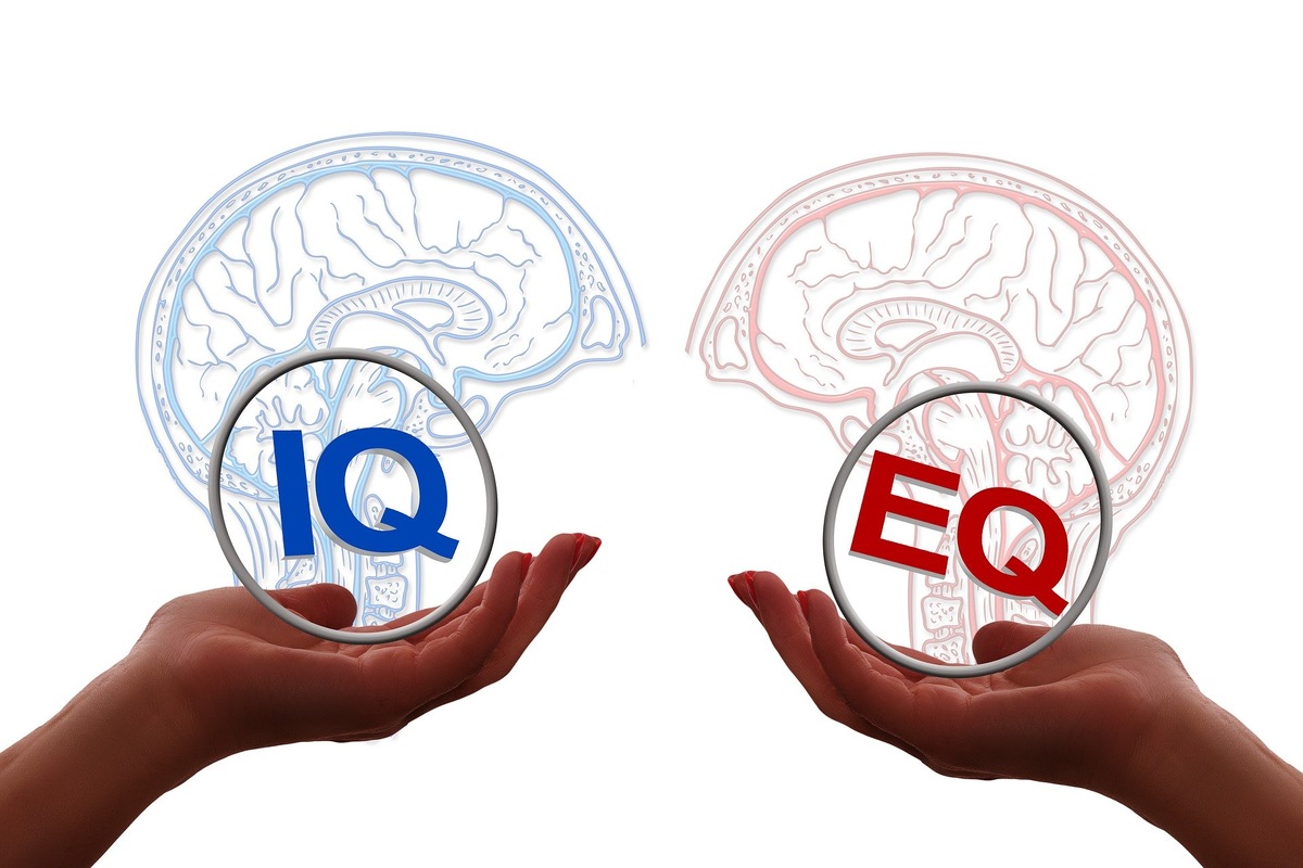 IQ плюс EQ равно успех!