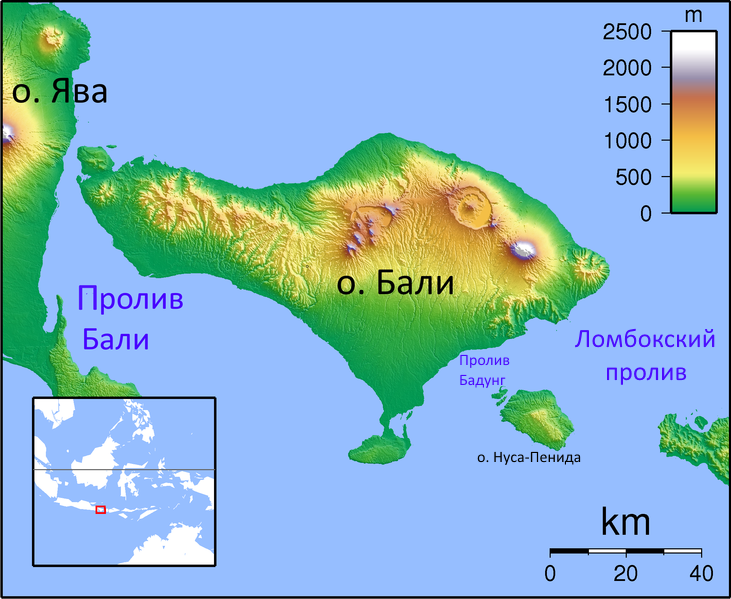  Фото: https://ru.wikipedia.org/