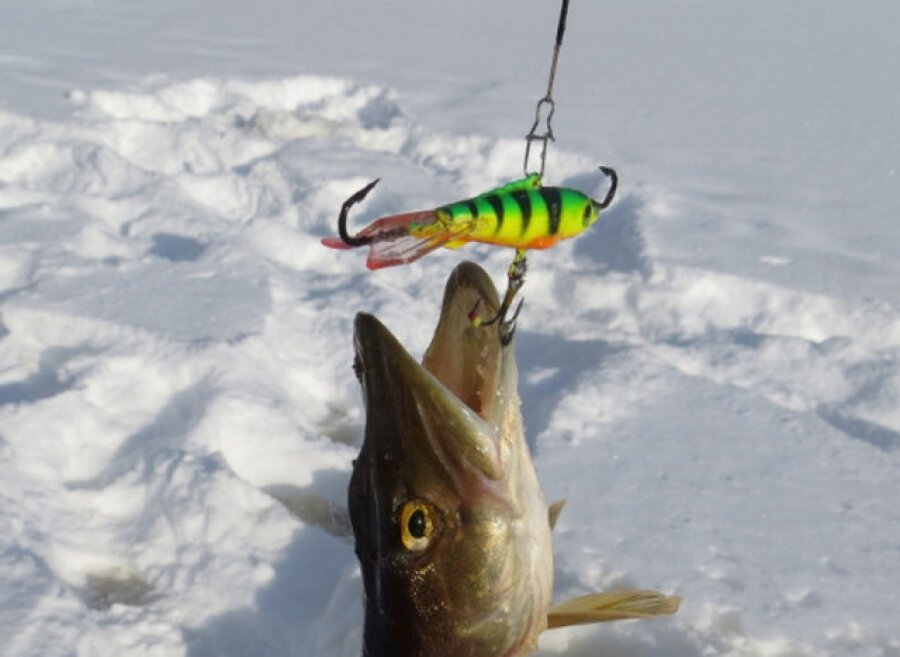 Ловля щуки зимой на балансир и блесну. Щука б. Зимние балансиры на щуку. Уловистые балансиры на щуку. Зимние балансиры на щуку.
